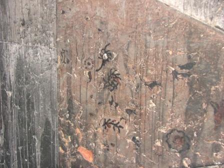 Pormenor da superficie a intervencionar